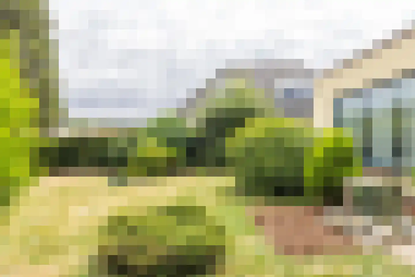 Brommelen 16 Geulle thumbnail 44