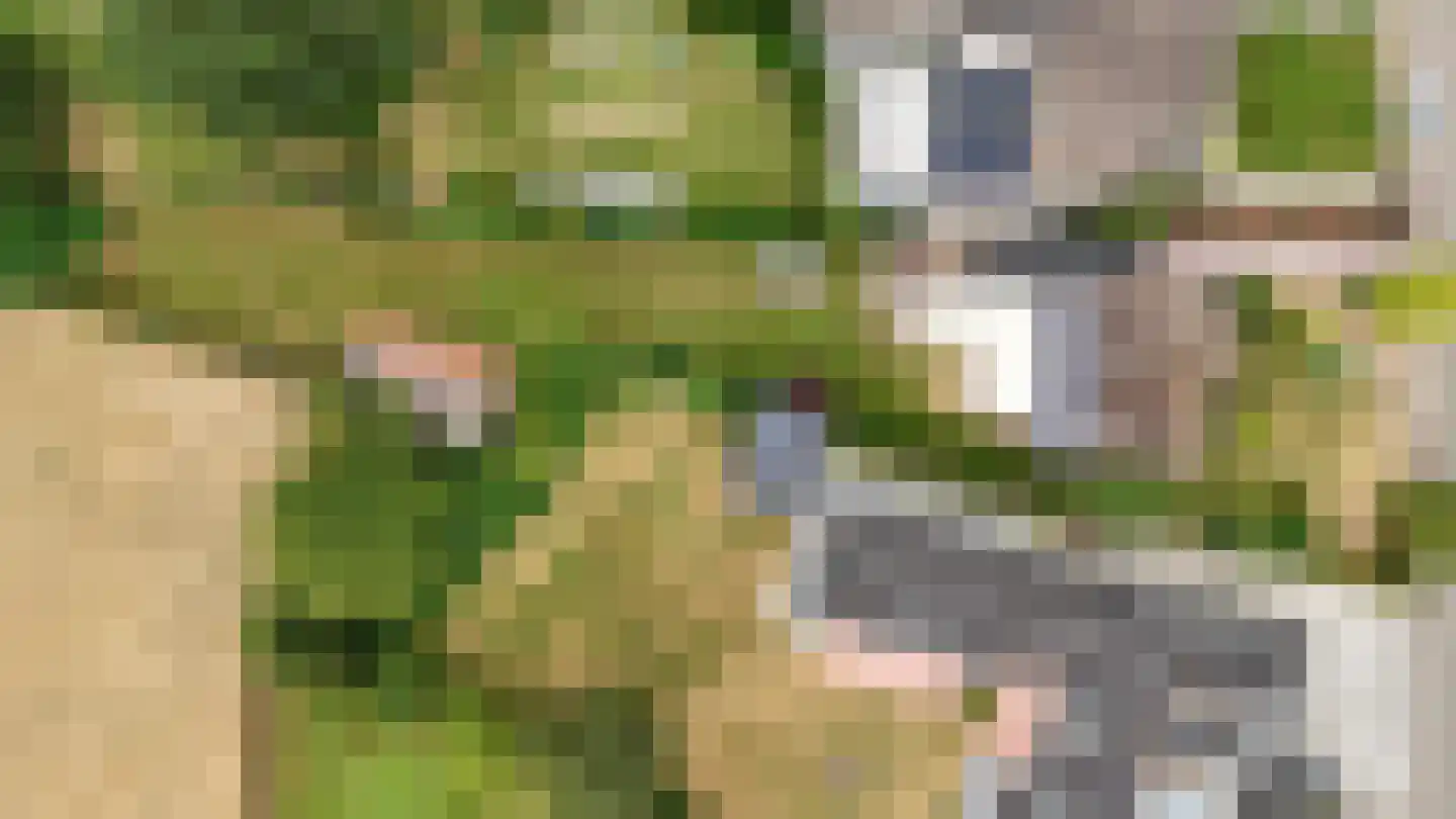Brommelen 16 Geulle thumbnail 45