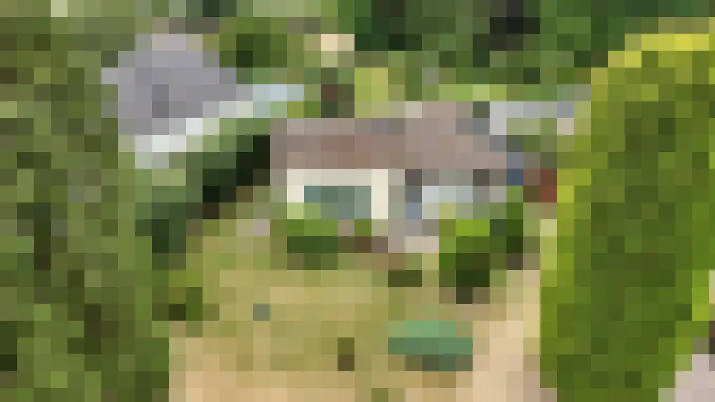 Brommelen 16 Geulle thumbnail 46
