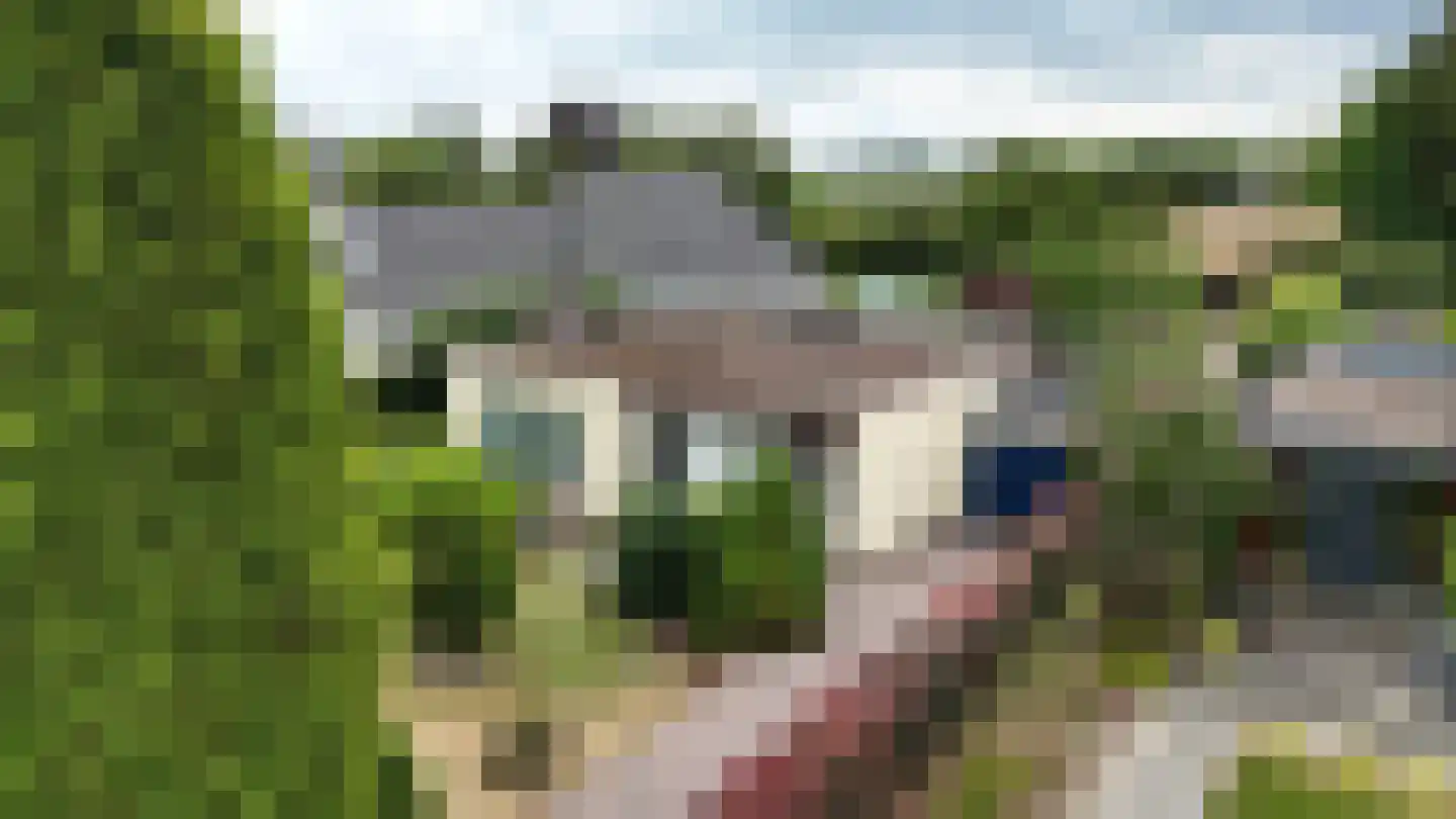 Brommelen 16 Geulle thumbnail 47