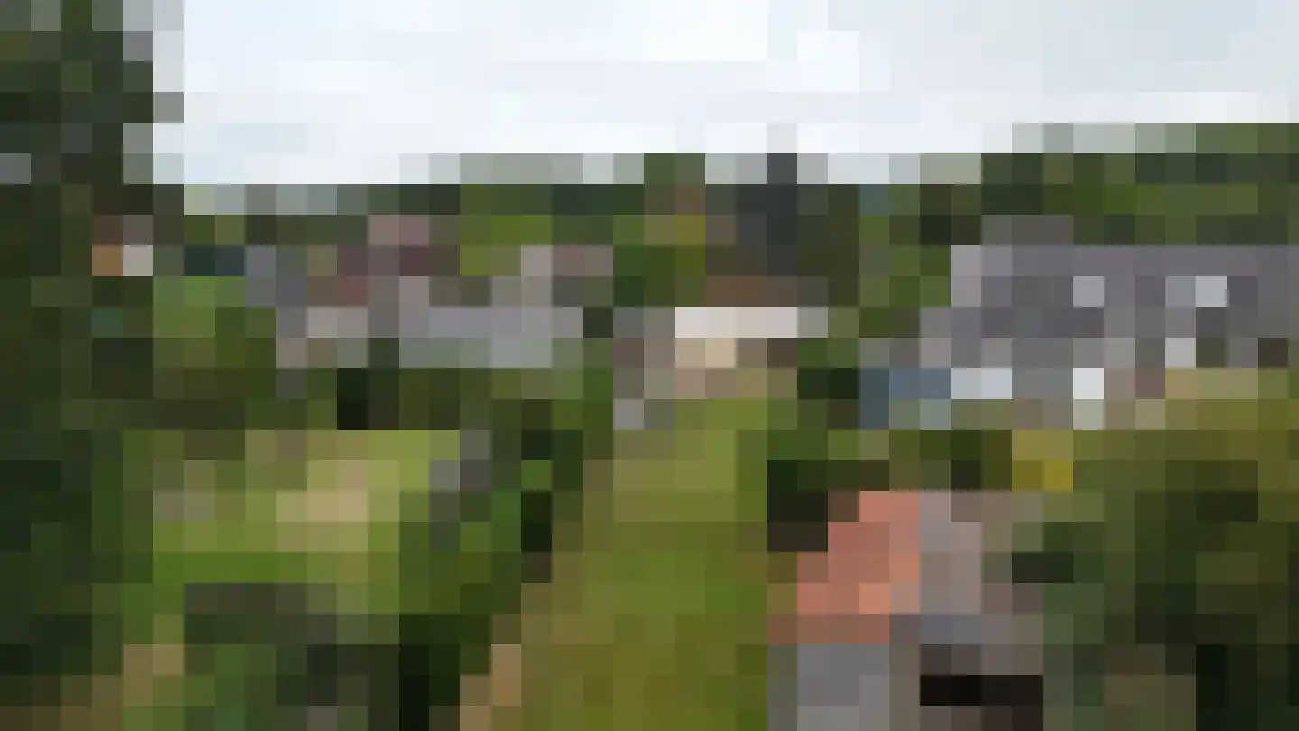 Brommelen 16 Geulle thumbnail 48