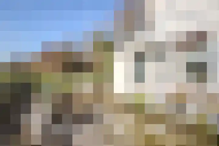 Brommelen 21 Wijnandsrade thumbnail 10