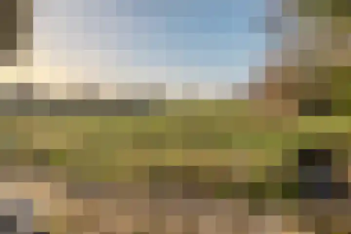 Brommelen 21 Wijnandsrade thumbnail 12