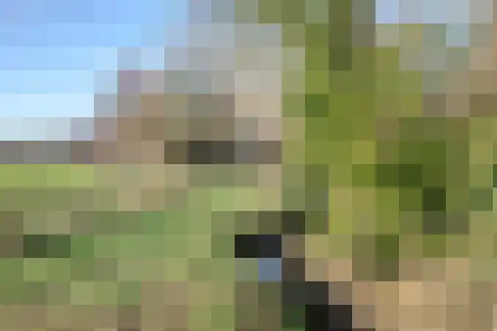 Brommelen 21 Wijnandsrade thumbnail 13