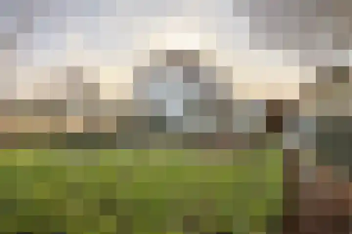 Brommelen 21 Wijnandsrade thumbnail 16