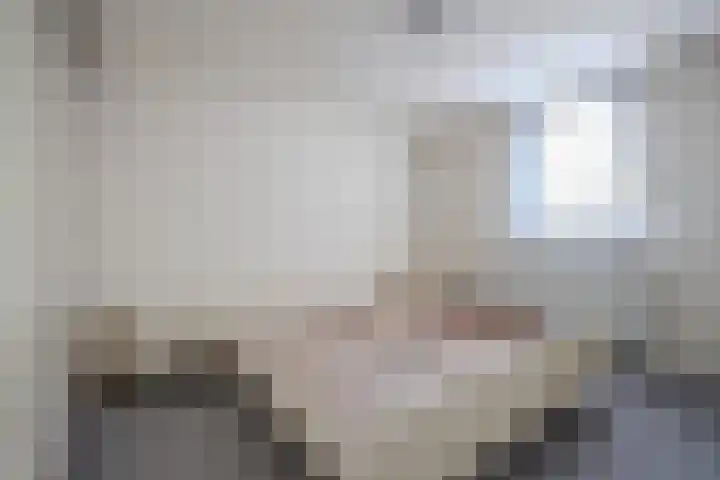 Brommelen 21 Wijnandsrade thumbnail 29