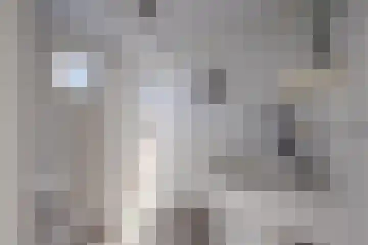 Brommelen 21 Wijnandsrade thumbnail 8