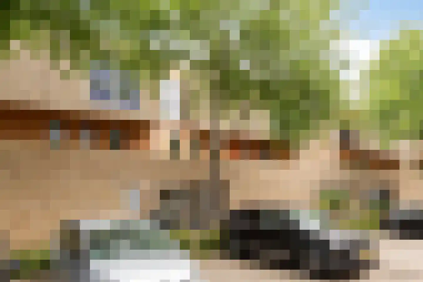 Brommy en Tommystraat 17 Almere thumbnail 5