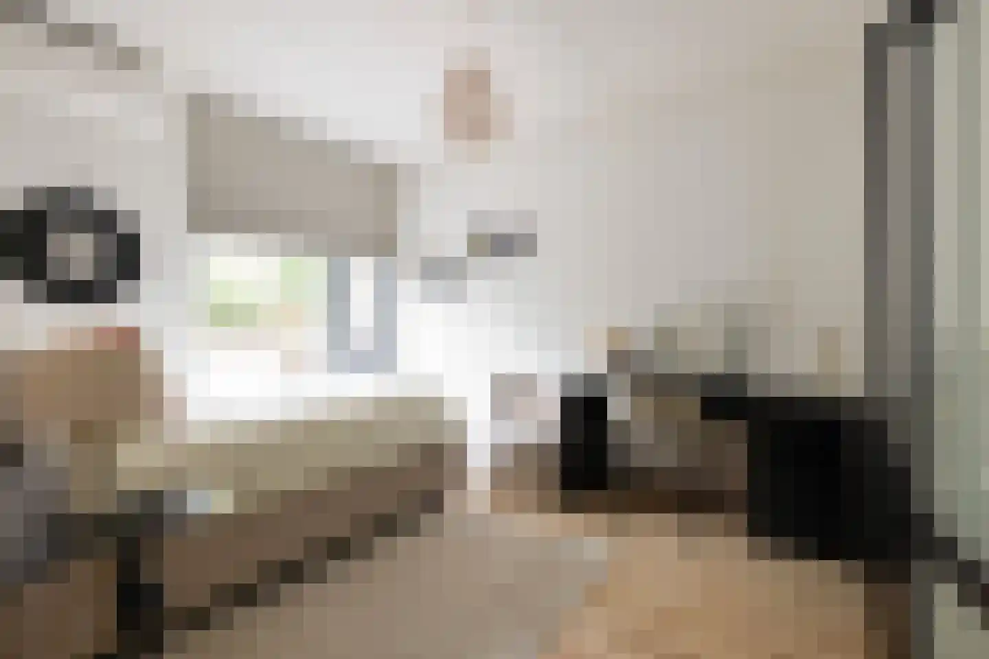 Brommy en Tommystraat 4 Almere thumbnail 28