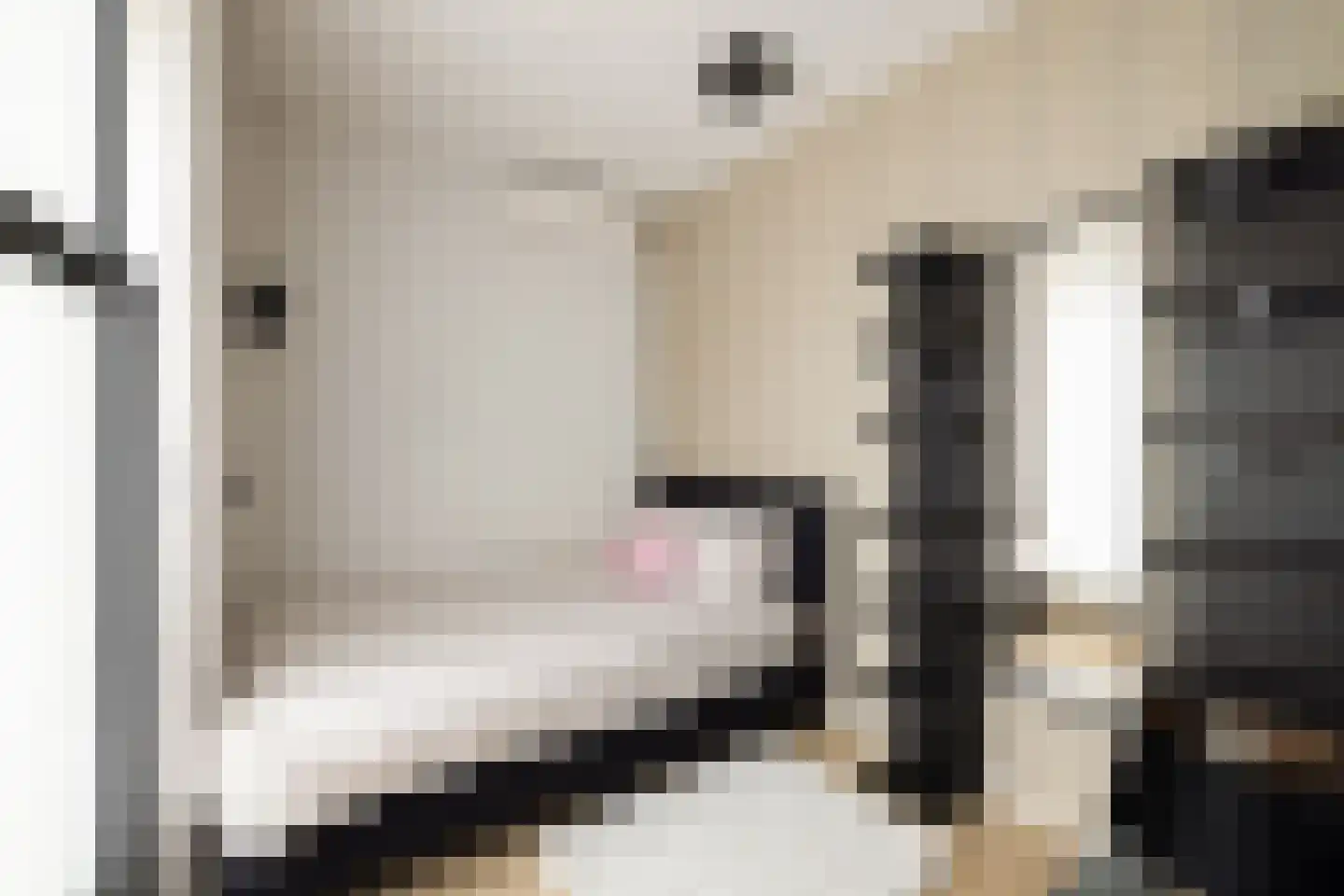 Brommy en Tommystraat 4 Almere thumbnail 34
