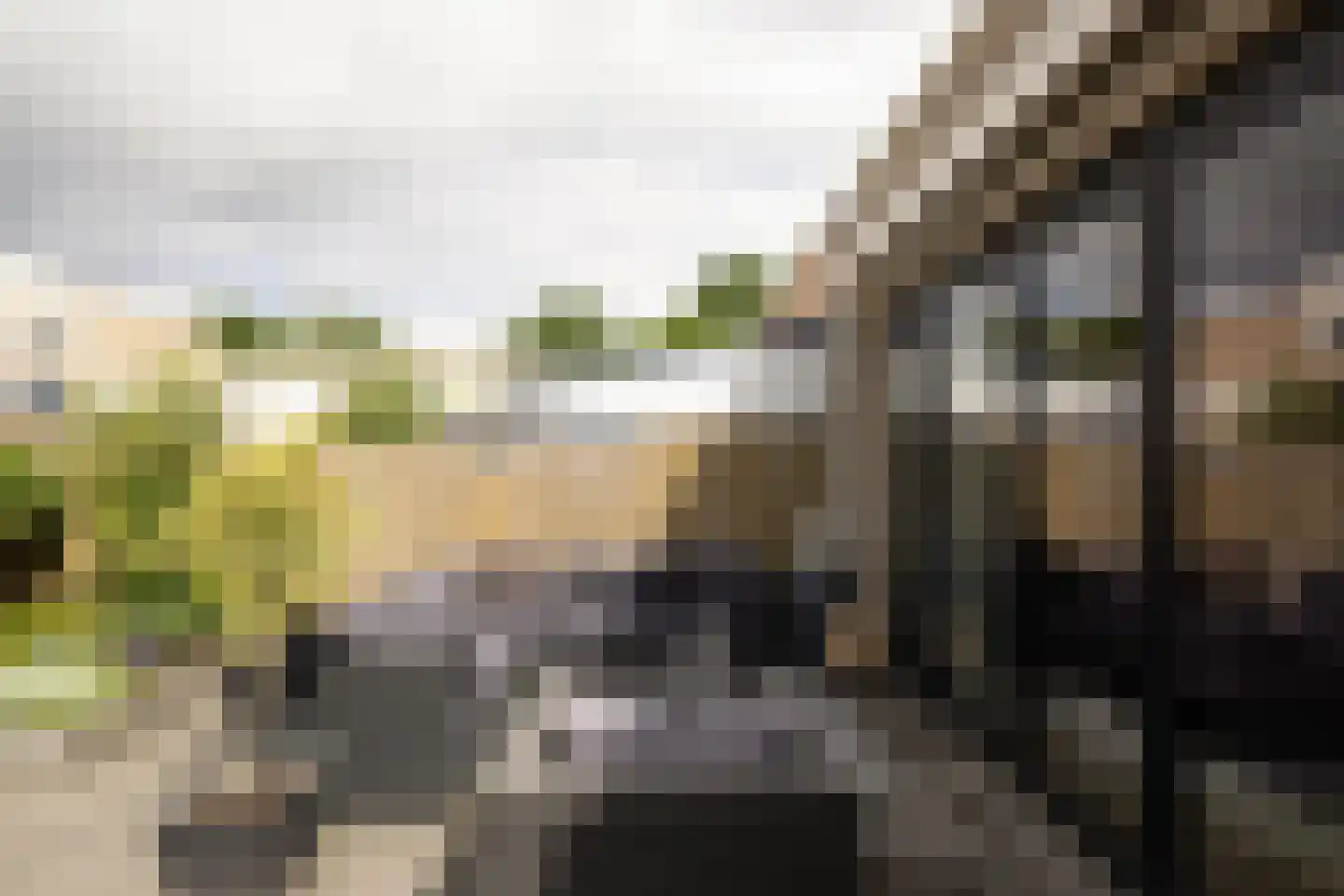 Brommy en Tommystraat 4 Almere thumbnail 39