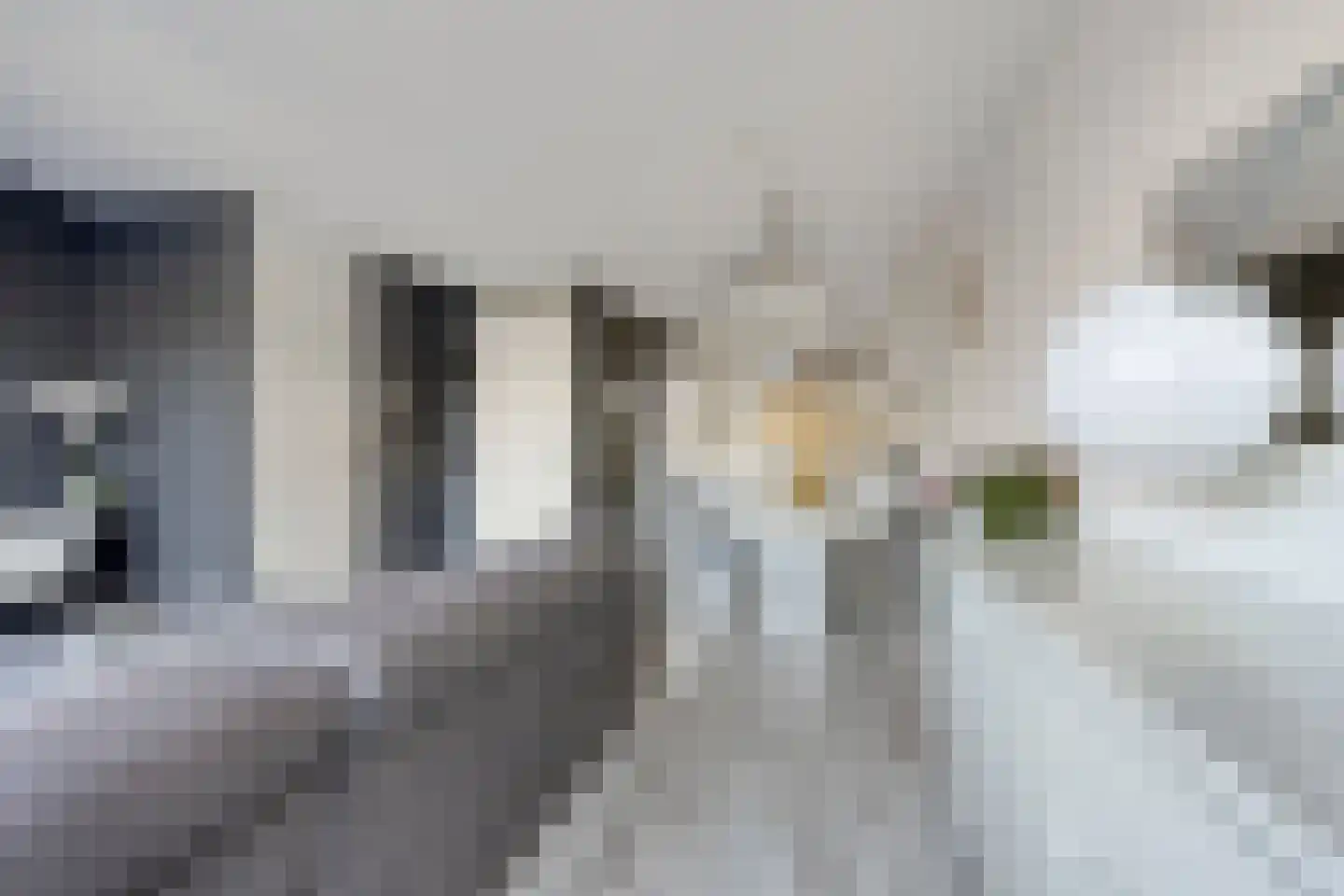 Brommy en Tommystraat 8 Almere thumbnail 11