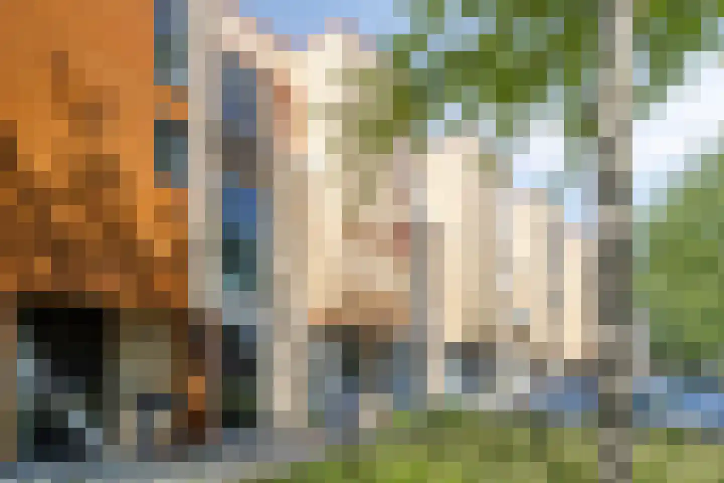 Brommy en Tommystraat 8 Almere thumbnail 5