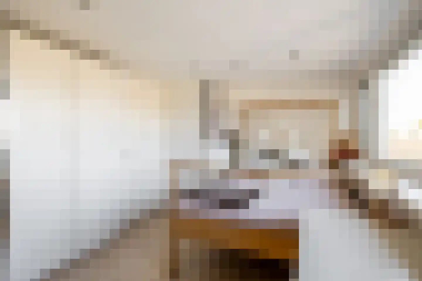 Bromostraat 14 Purmerend thumbnail 31