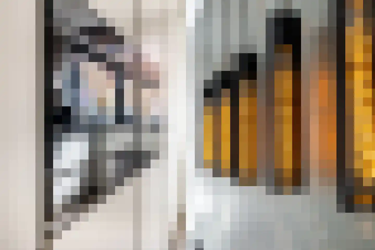 Bromostraat 14 Purmerend thumbnail 4