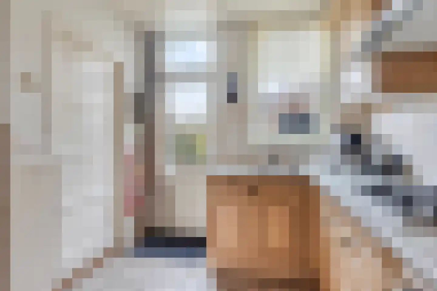 Bromsluis 24 Heusden thumbnail 10