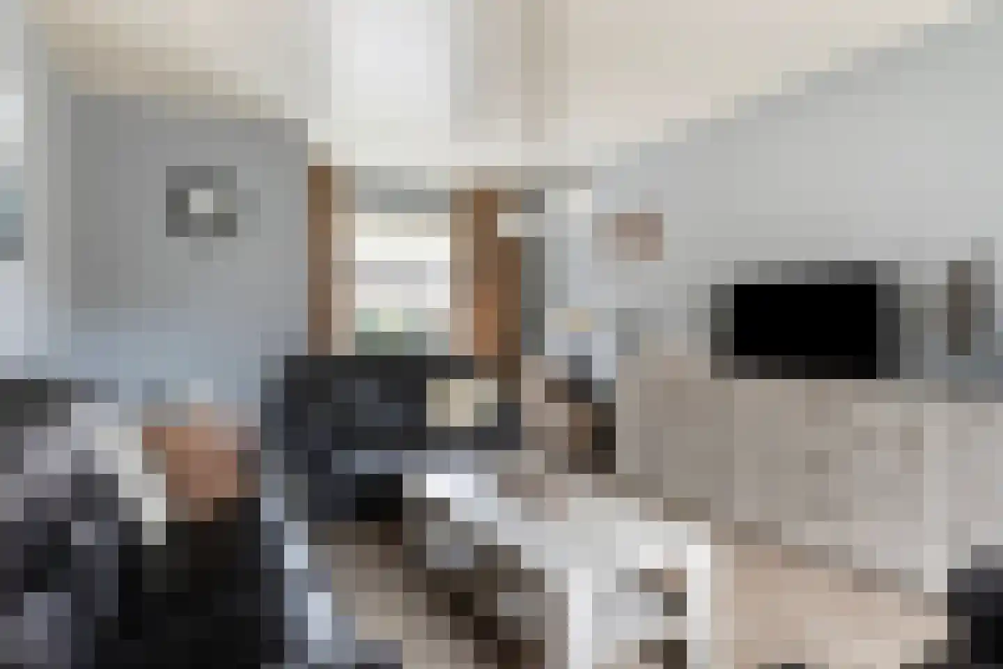 Bromsluis 24 Heusden thumbnail 4