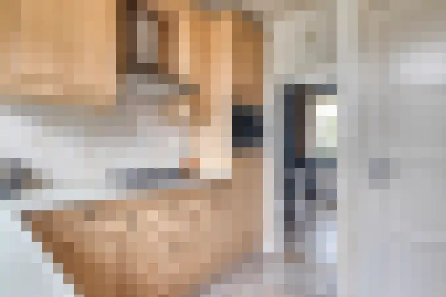 Bromsluis 24 Heusden thumbnail 9