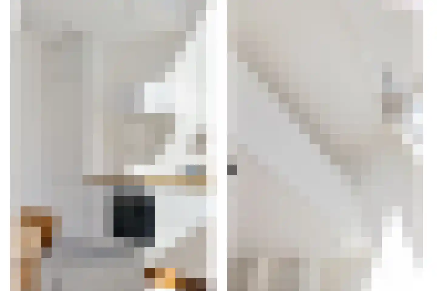 Bromwissel 23 Utrecht thumbnail 17