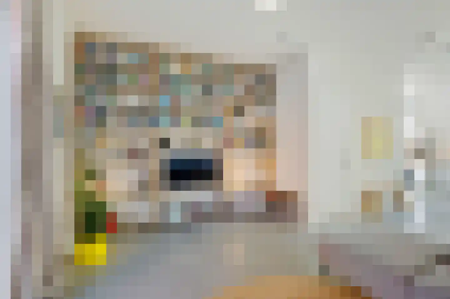 Bromwissel 23 Utrecht thumbnail 22