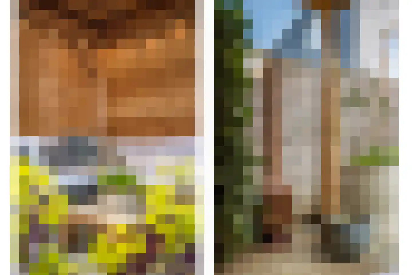 Bromwissel 23 Utrecht thumbnail 27