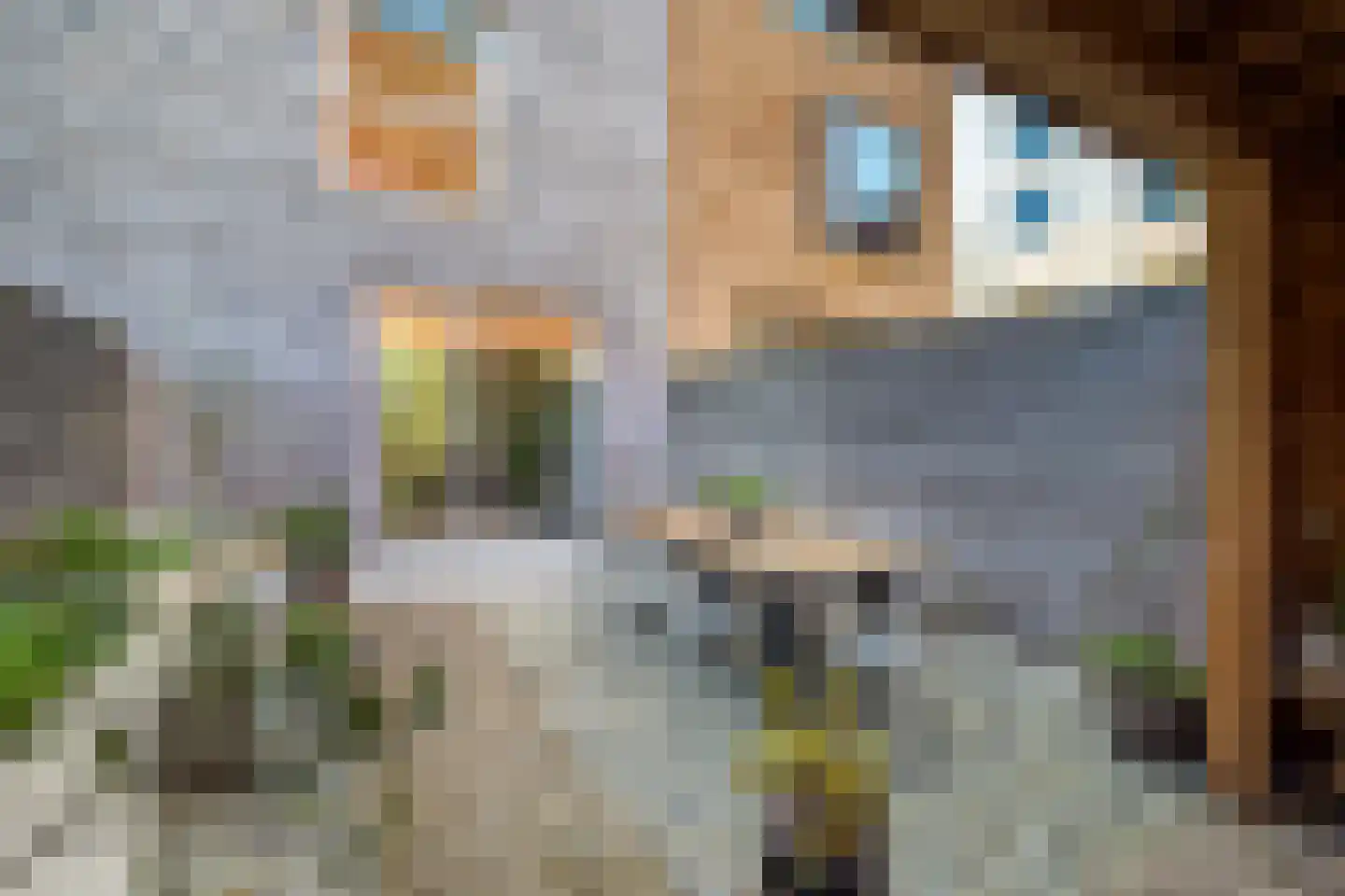 Bromwissel 23 Utrecht thumbnail 28