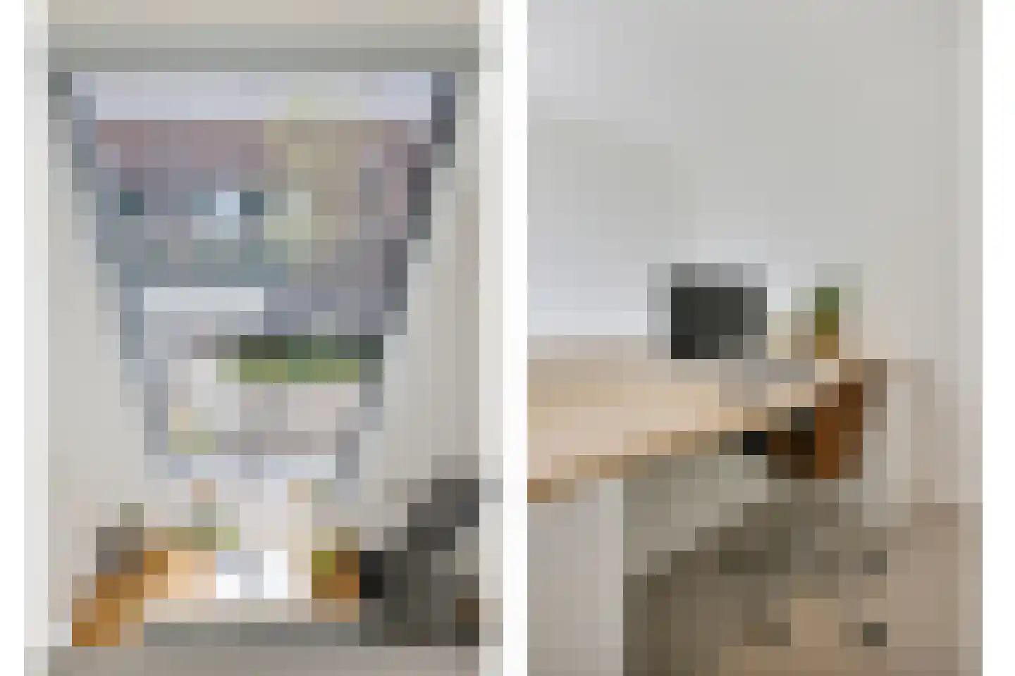 Bromwissel 23 Utrecht thumbnail 42