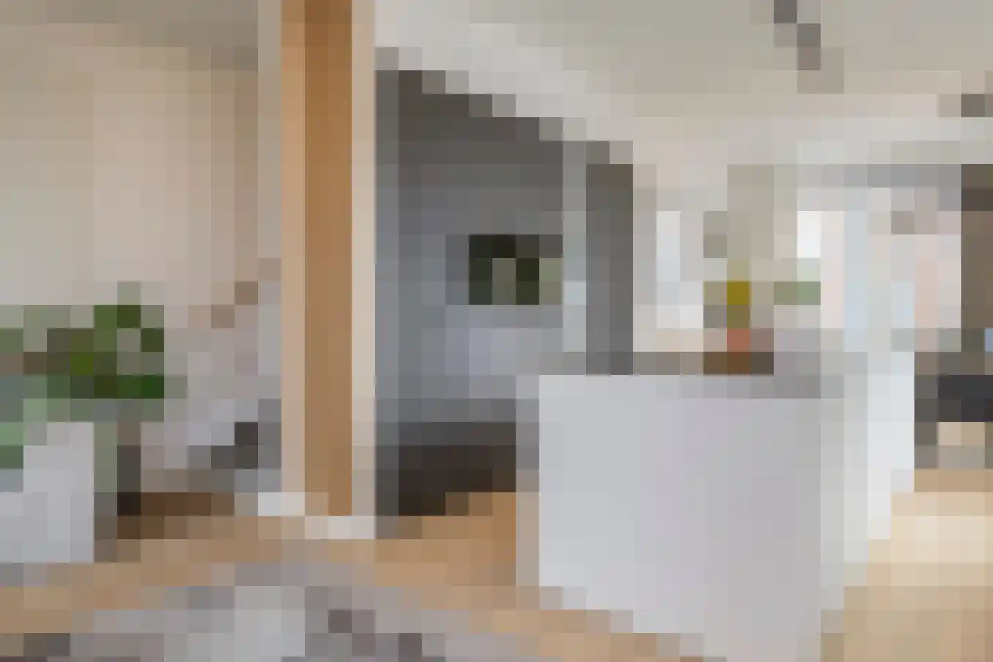 Bromwissel 25 Utrecht thumbnail 11