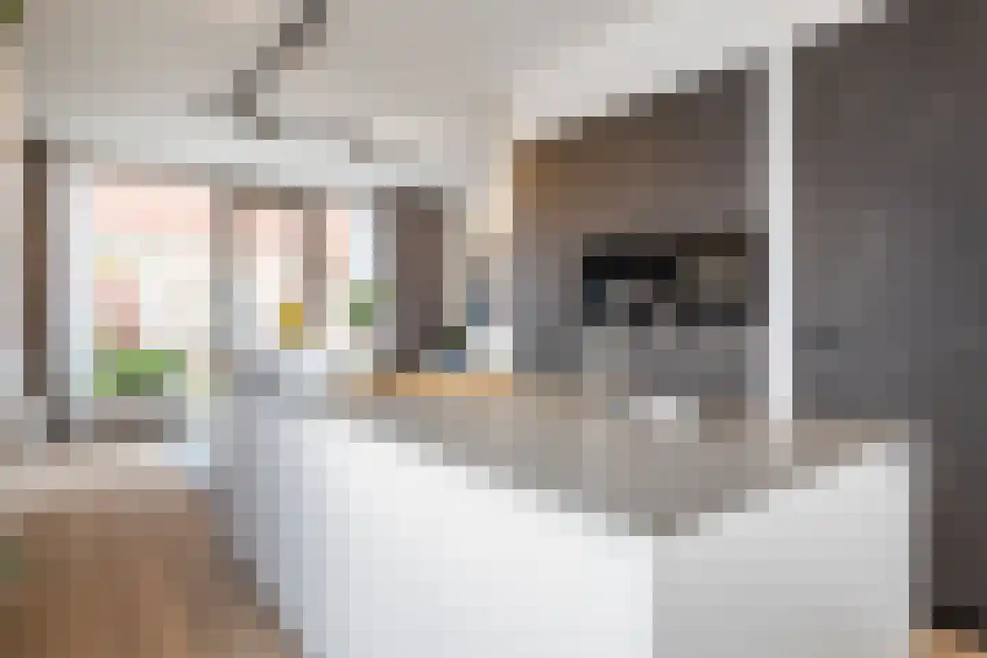 Bromwissel 25 Utrecht thumbnail 12