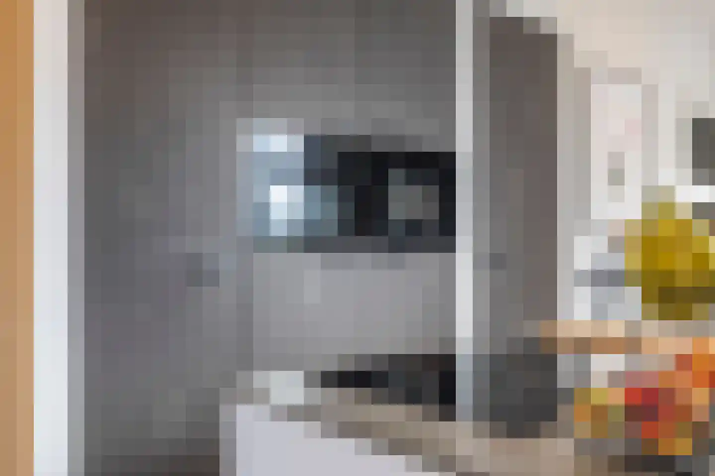 Bromwissel 25 Utrecht thumbnail 18