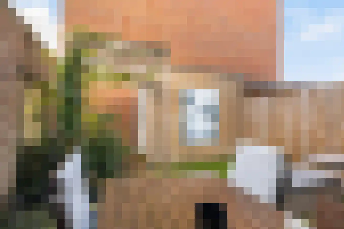 Bromwissel 25 Utrecht thumbnail 20