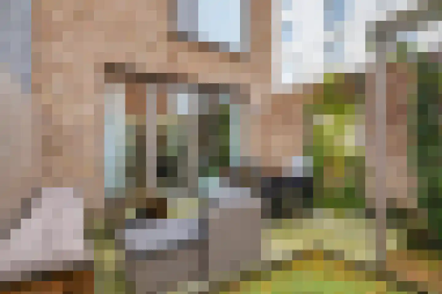Bromwissel 25 Utrecht thumbnail 21