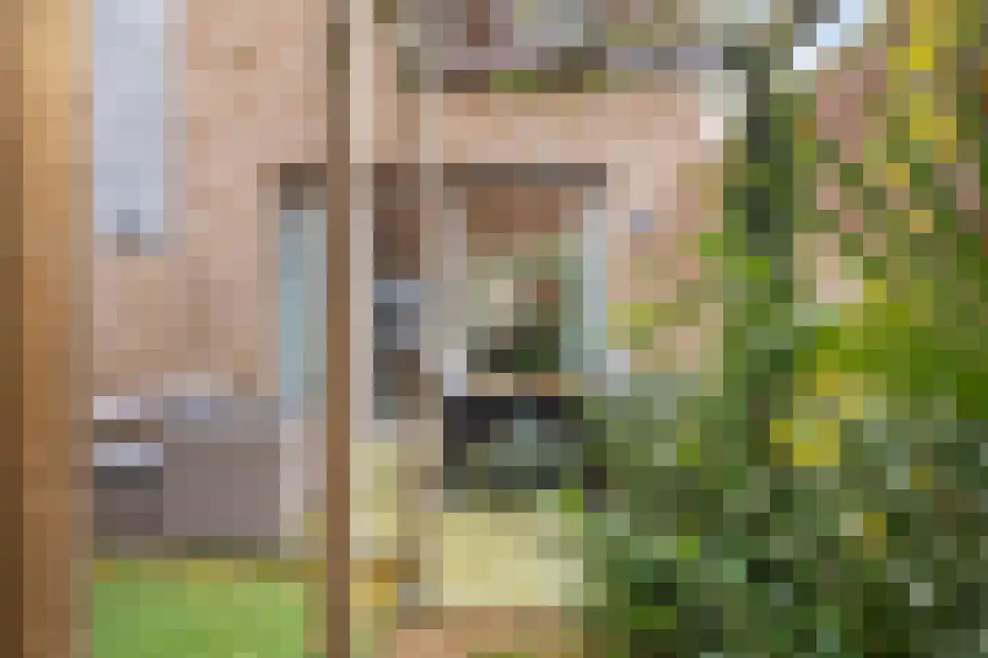 Bromwissel 25 Utrecht thumbnail 22
