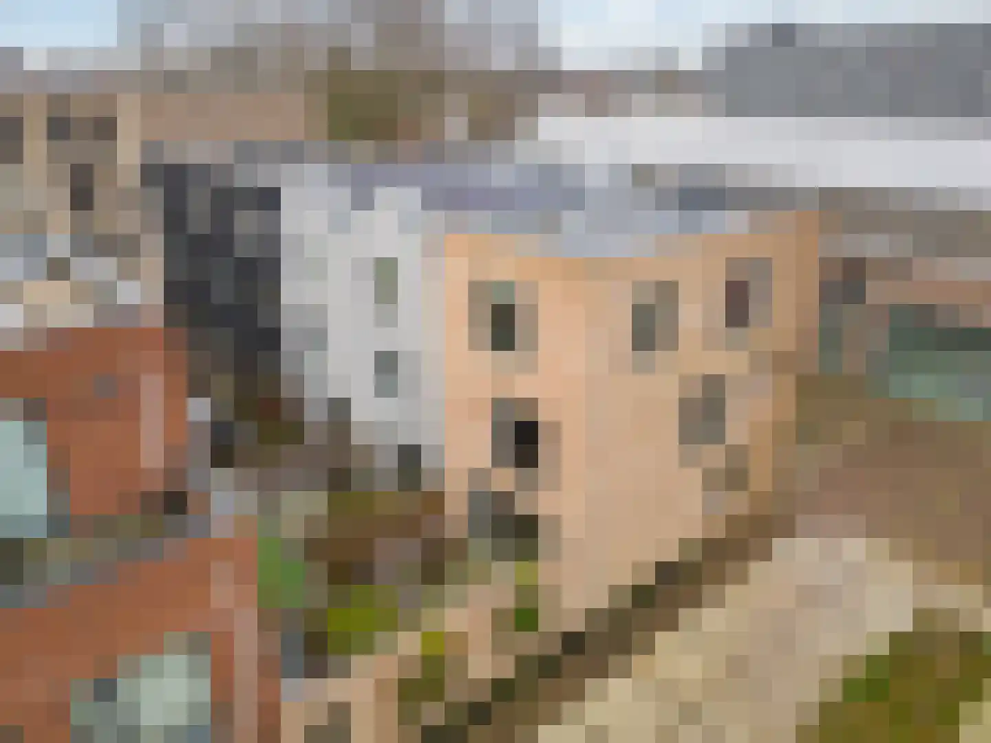 Bromwissel 25 Utrecht thumbnail 23