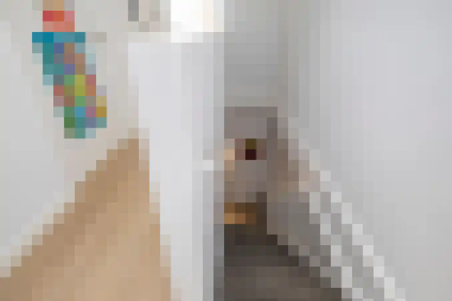 Bromwissel 25 Utrecht thumbnail 32