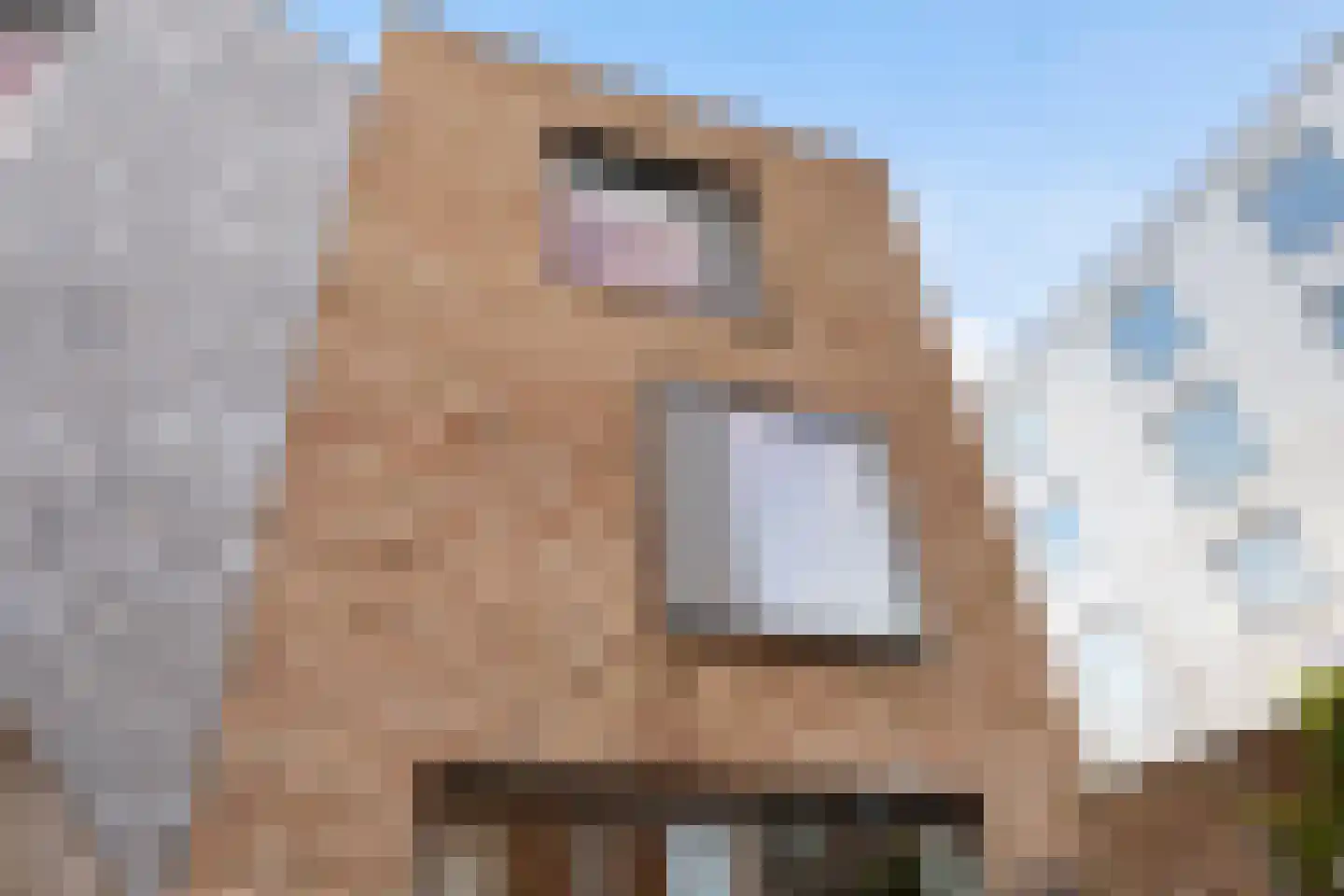 Bromwissel 25 Utrecht thumbnail 36