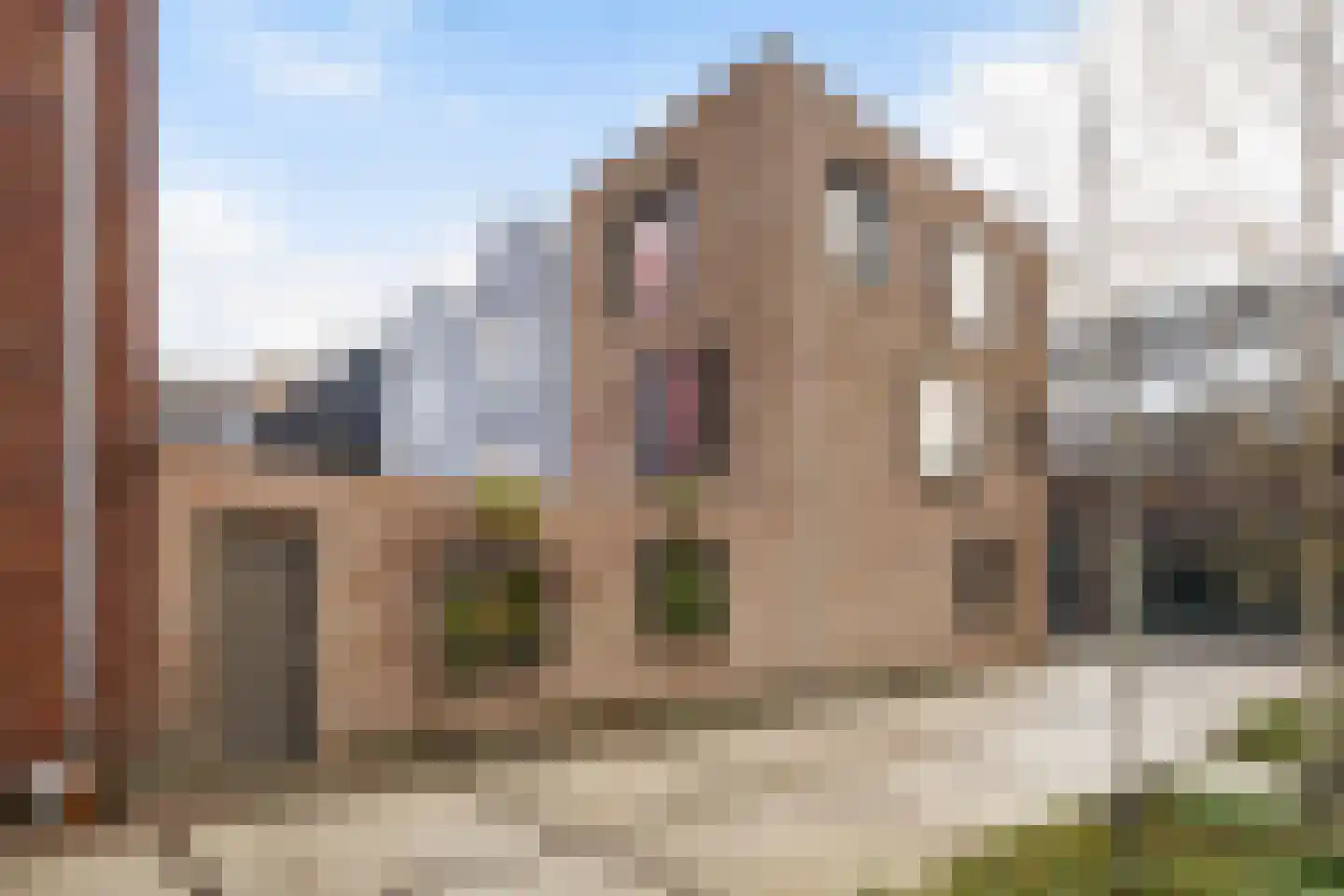 Bromwissel 25 Utrecht thumbnail 37