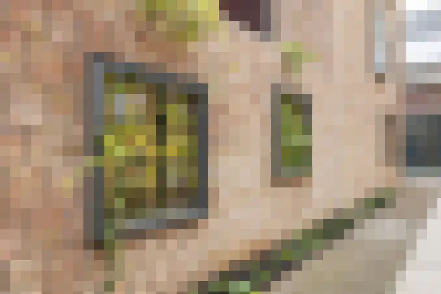 Bromwissel 25 Utrecht thumbnail 38