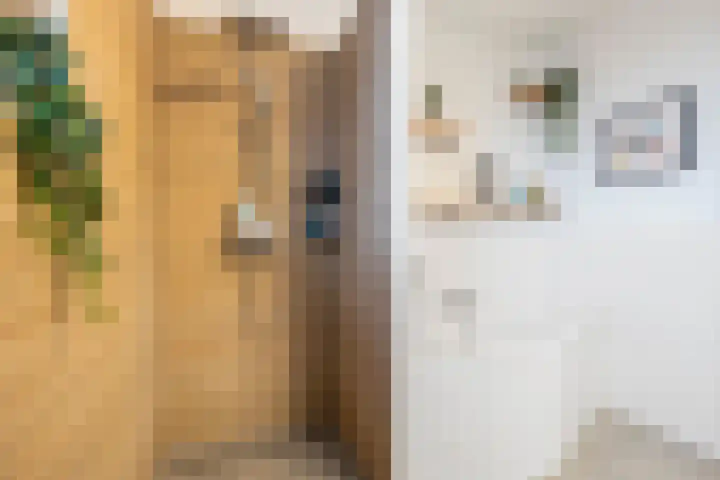 Bromwissel 25 Utrecht thumbnail 4