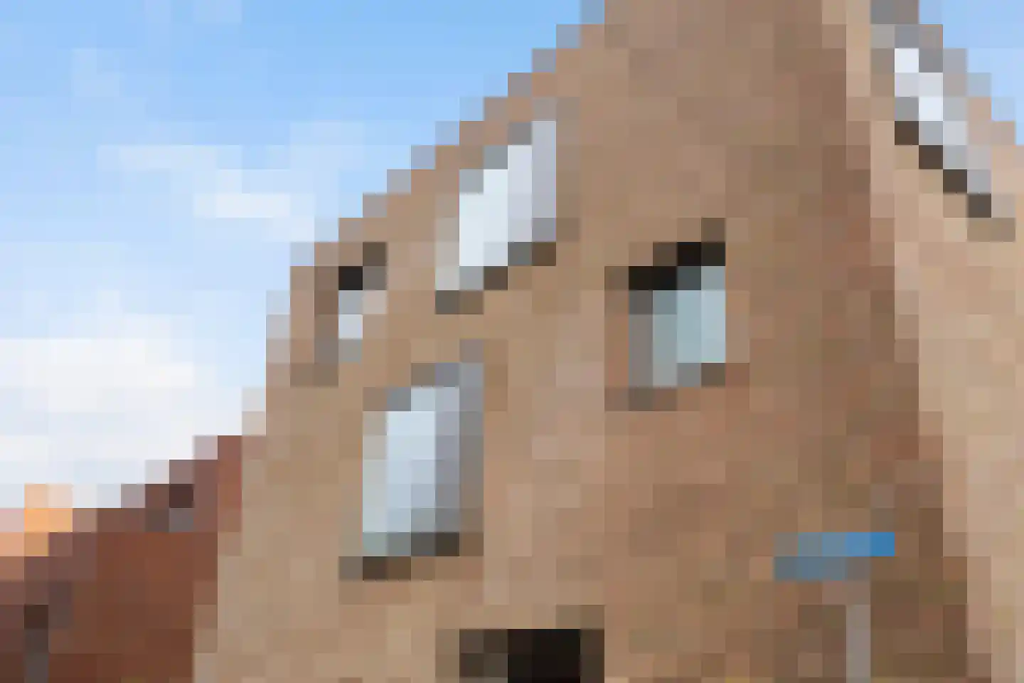 Bromwissel 25 Utrecht thumbnail 41