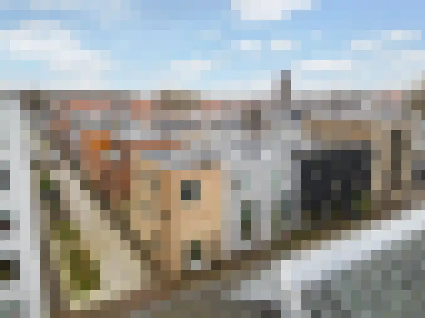 Bromwissel 25 Utrecht thumbnail 42