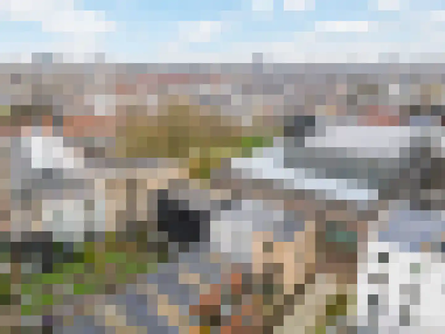 Bromwissel 25 Utrecht thumbnail 43