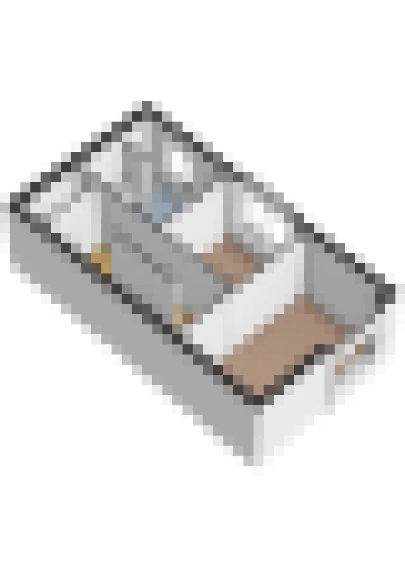 Bromwissel 25 Utrecht thumbnail 50