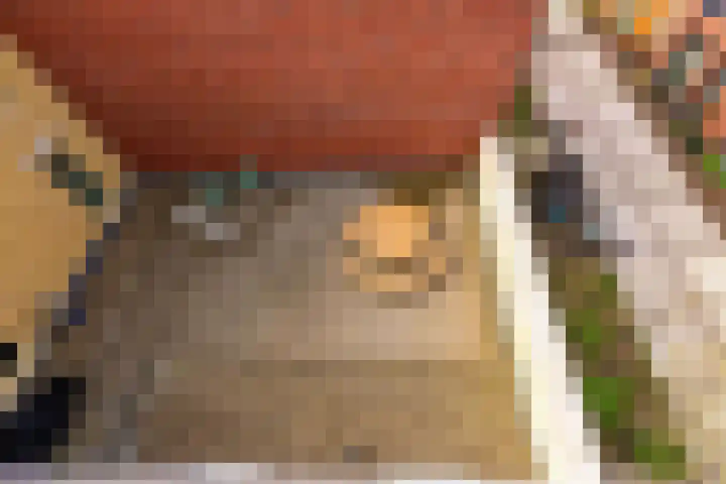 Bromwissel 49 Utrecht thumbnail 17
