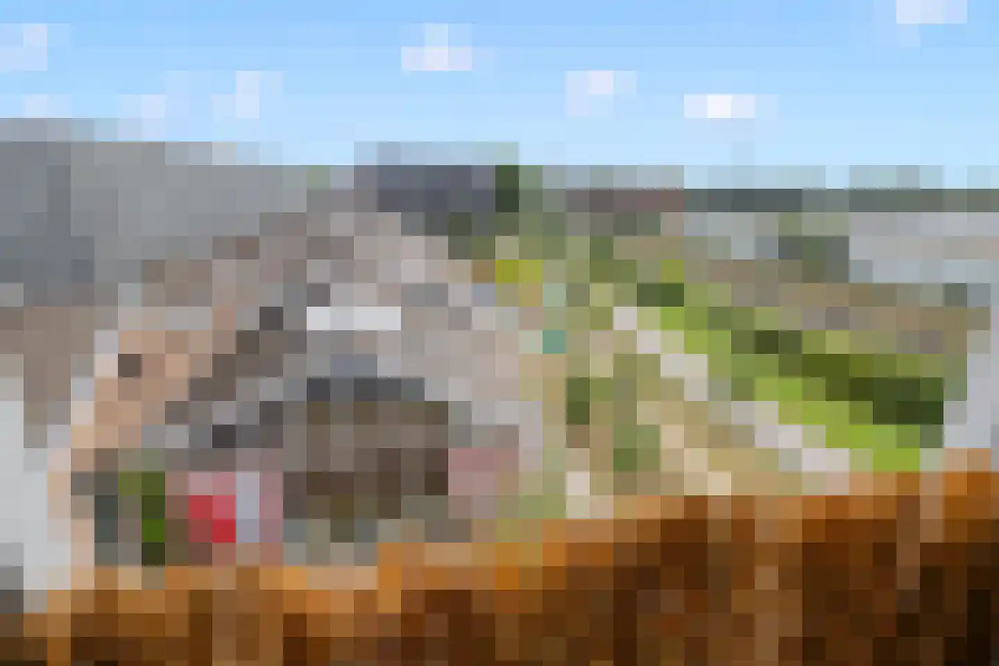 Bromwissel 53 Utrecht thumbnail 19