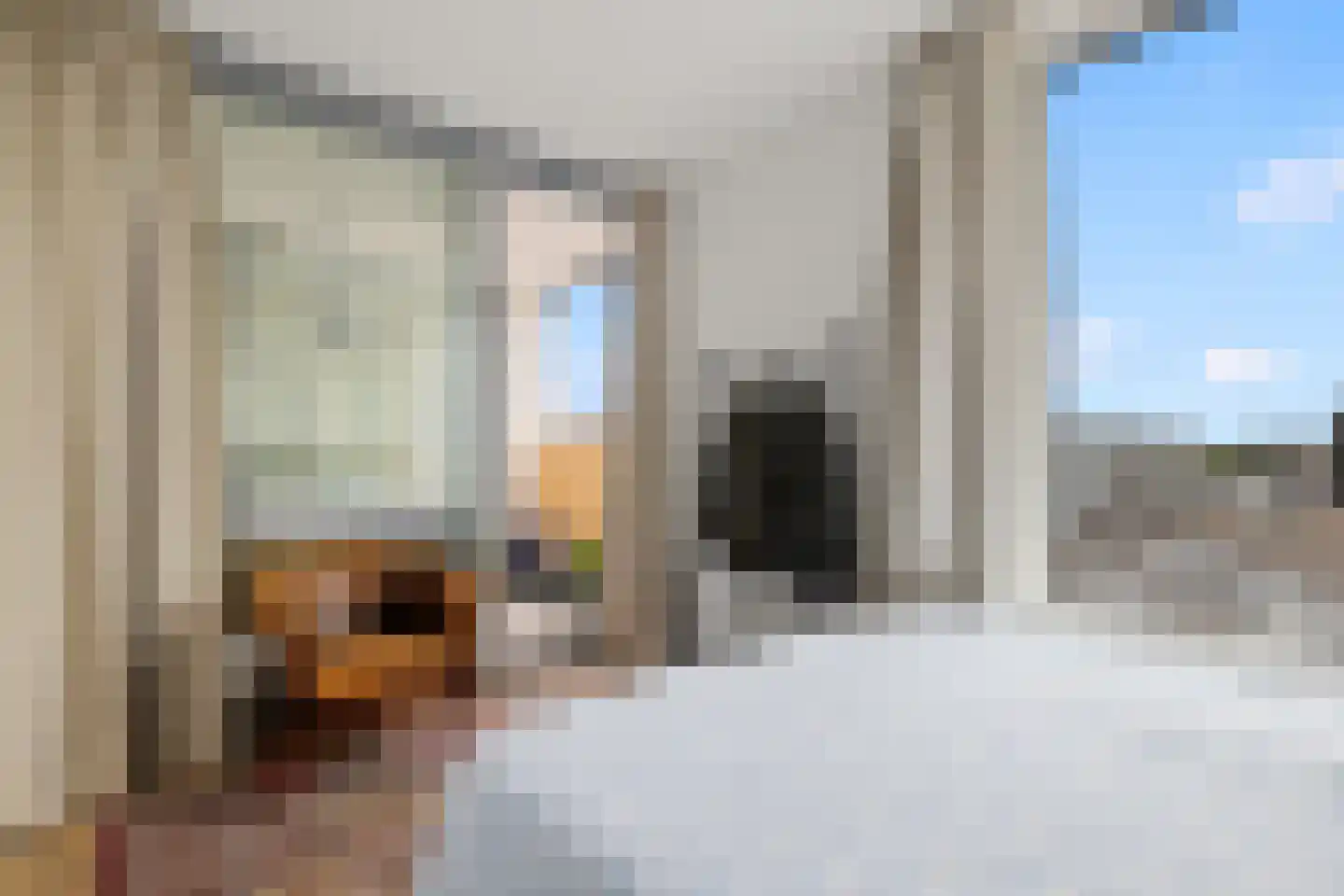 Bromwissel 53 Utrecht thumbnail 22