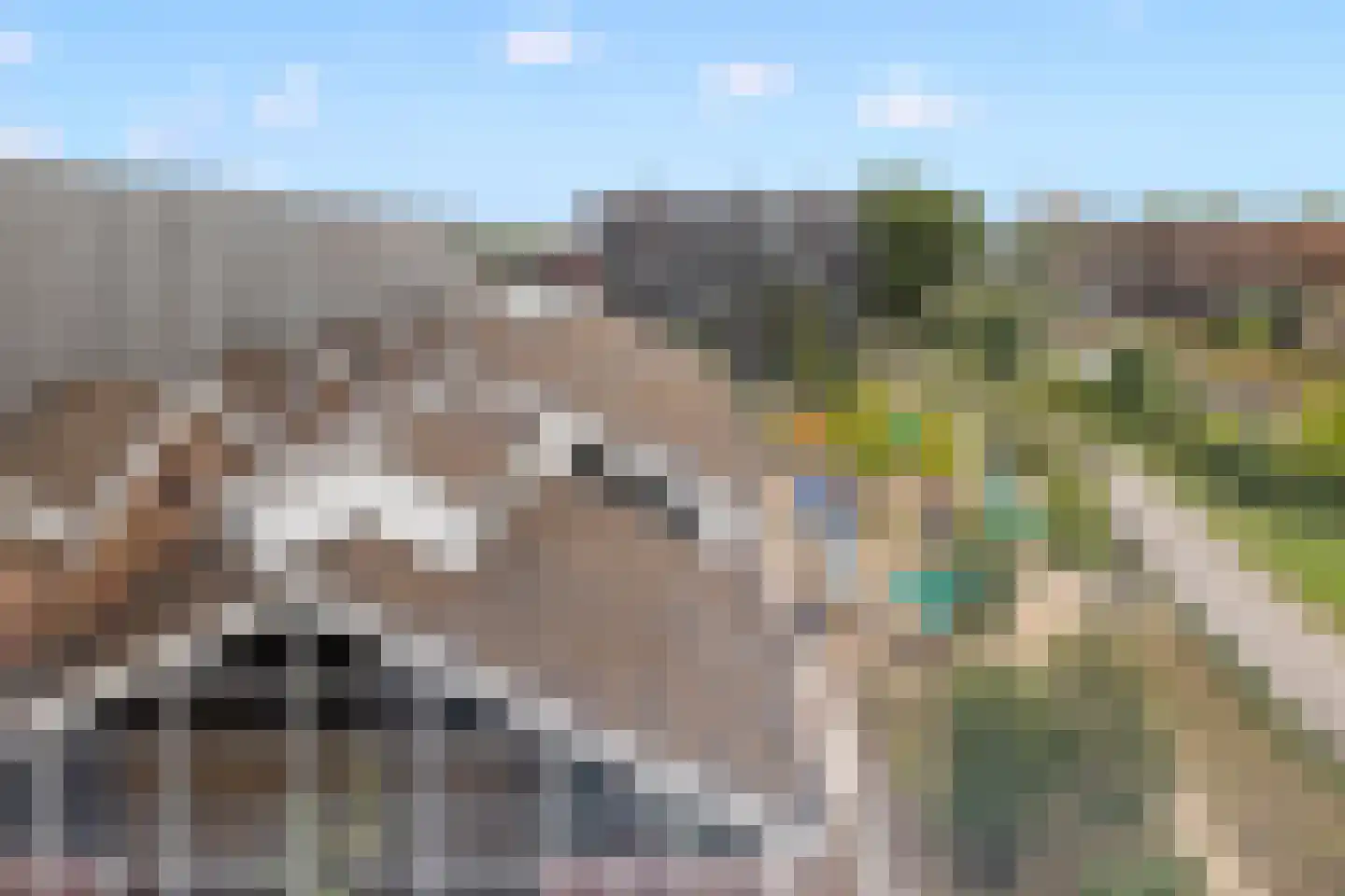 Bromwissel 53 Utrecht thumbnail 24