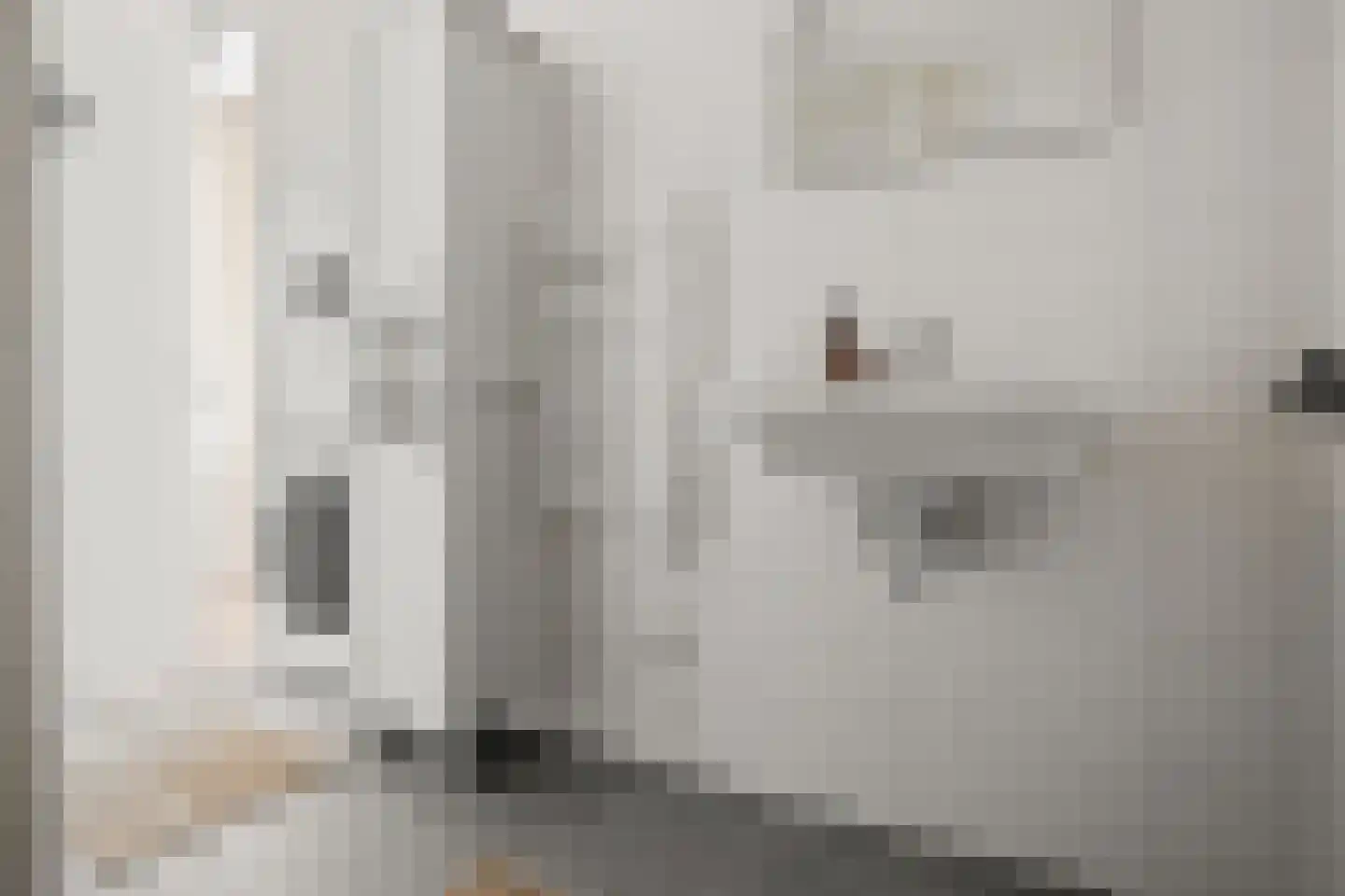 Bromwissel 53 Utrecht thumbnail 26