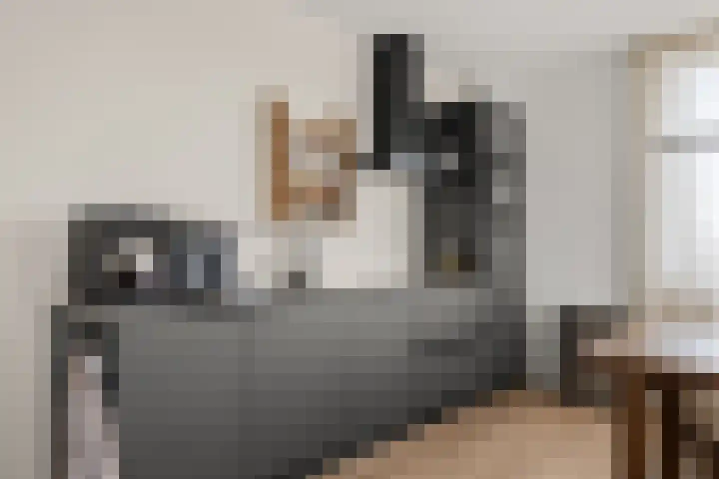 Bromwissel 53 Utrecht thumbnail 4