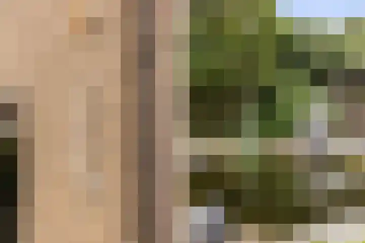 Bronbeekhof 7 Apeldoorn thumbnail 10